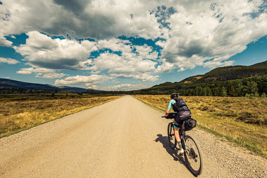 Activity Fuelling Planner